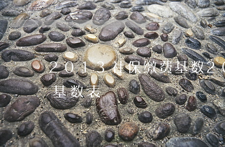 2013社保缴费基数(2013年社保缴费基数表)