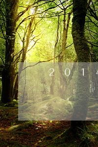 2014逾期貸款利息(貸款逾期罰息利率)