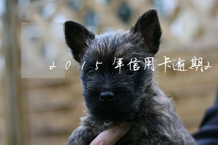 2015年信用卡逾期2021年有影響嗎