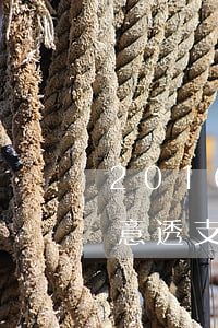 2016信用卡惡意透支(信用卡被定性為惡意透支)