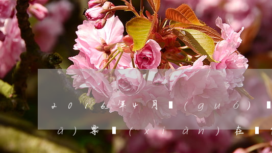 2016年4月國(guó)稅定額發(fā)票現(xiàn)在還能用嗎