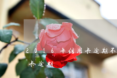2016年信用卡逾期不還(2017年信用卡逾期)