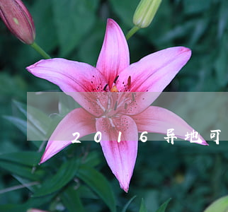 2016异地可以办离婚吗