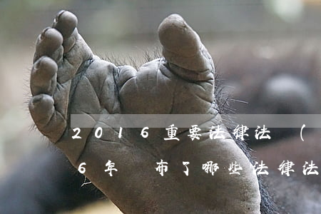 2016重要法律法規(guī)(2016年頒布了哪些法律法規(guī)并從2017年開始實施)