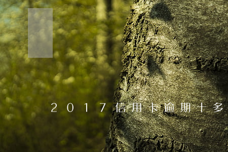 2017信用卡逾期(十多張信用卡逾期)