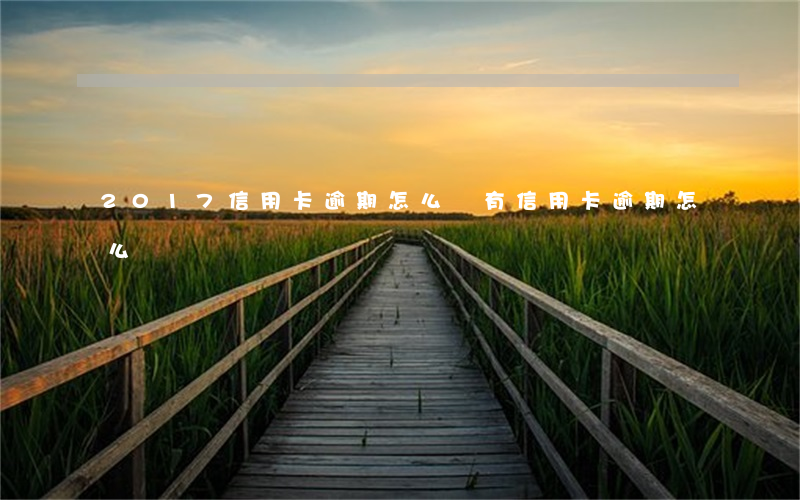 2017信用卡逾期怎么辦(有信用卡逾期怎么辦)