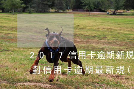 2017信用卡逾期新規(guī)定(國家對信用卡逾期最新規(guī)定)