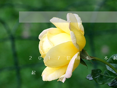 2017信用卡還不起(2017信用卡還不起)