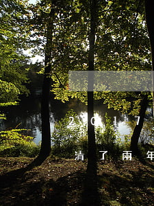 2017年信用卡逾期已經(jīng)還清了兩年后（信用卡逾期兩年還清了還可以用嗎）