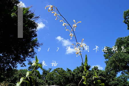 2017年信用卡逾期怎么办（信用卡逾期后果表格）