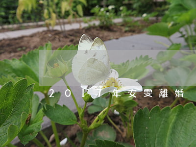 2017年安雯離婚