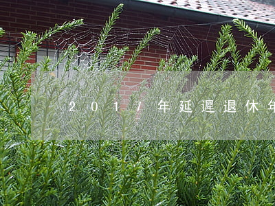 2017年延遲退休年齡的最新消息