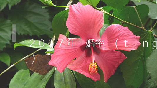 2017年離婚率統(tǒng)計(jì)
