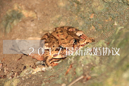 2017最新离婚协议 2017最新离婚协议