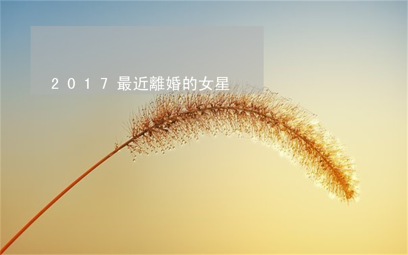 2017最近離婚的女星