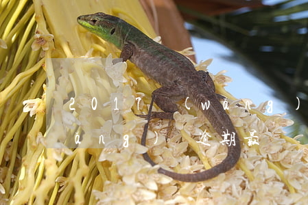 2017網(wǎng)貸大量逾期(網(wǎng)貸逾期最壞結(jié)果)