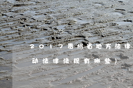 2017贵州省地方法律法规(贵州省的劳动法律法规有哪些)
