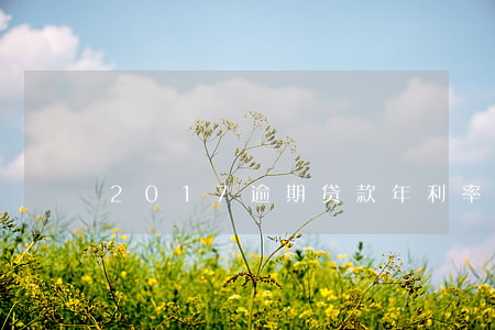 2017逾期贷款年利率(逾期日利率)