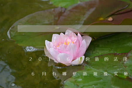 20186月份新的法律法规(2018年6月有哪些新规要实施)