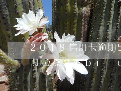 2018信用卡逾期5w(2018信用卡逾期立案標(biāo)準(zhǔn)法律文書(shū))