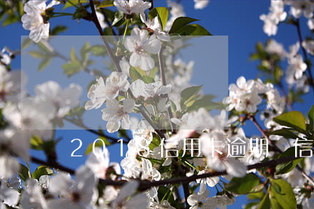 2018信用卡逾期億(信用卡7千逾期一年)