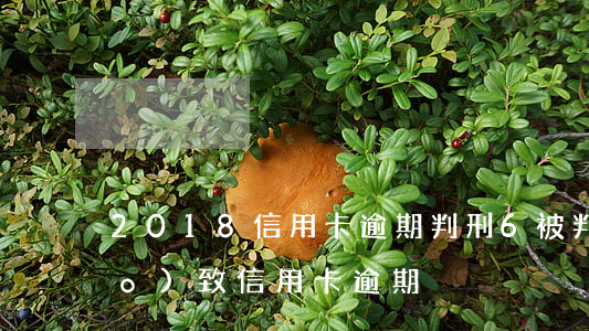 2018信用卡逾期判刑6(被判刑導(dǎo)致信用卡逾期)