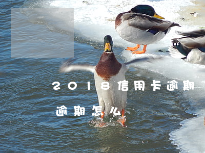 2018信用卡逾期記錄 2017年信用卡逾期怎么辦