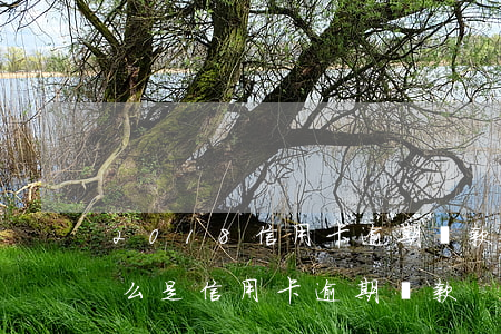 2018信用卡逾期還款規(guī)定(什么是信用卡逾期還款)