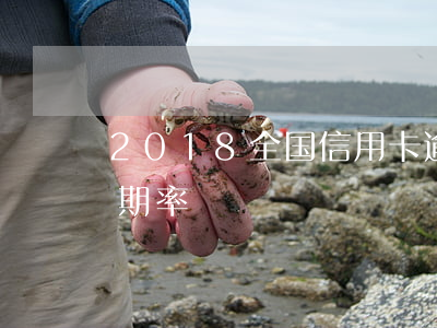 2018全国信用卡逾期率(90后信用卡逾期率)