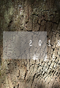2018國家新法律法規(guī)清單(截止2018年我國共有多少部法律法規(guī))