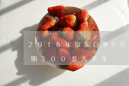 2018年京东白条500逾期(京东白条逾期300多大半年)