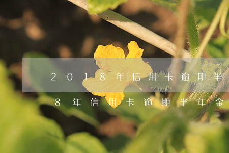 2018年信用卡逾期半年金額多少（2018年信用卡逾期半年金額）