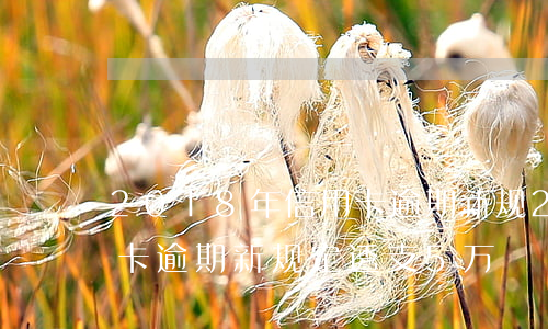 2018年信用卡逾期新规(2018年信用卡逾期新规定 透支5万)
