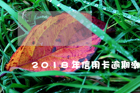 2018年信用卡逾期潮