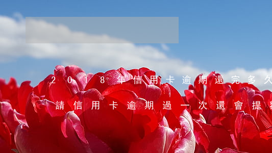 2018年信用卡逾期還完多久可以再次申請（信用卡逾期過一次還會提額嗎）