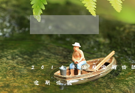 2018年信用逾期借款(當(dāng)前逾期借款)