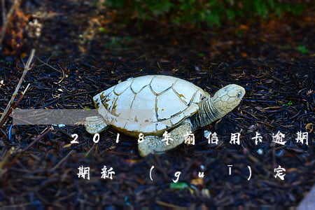2018年前信用卡逾期(2018信用卡逾期新規(guī)定)