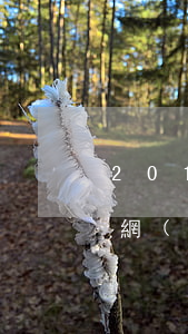 2018年小額網(wǎng)貸口子(最新網(wǎng)貸口子)