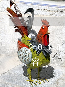 2018年憲法修正案的主要內(nèi)容