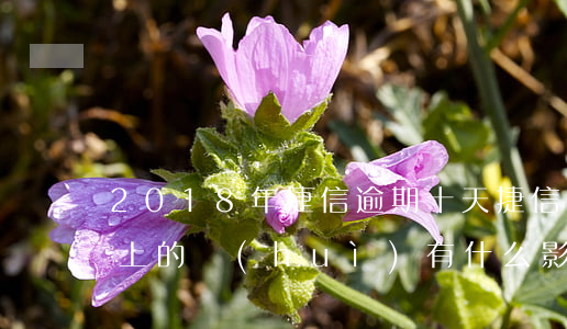 2018年捷信逾期十天(捷信逾期9天后還上的,會(huì)有什么影響嗎)