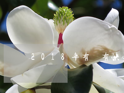2018年有沒有快易花逾期的-