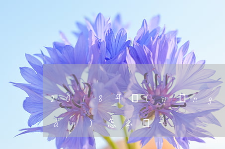 2018年網(wǎng)貸欠了十萬(wàn)怎么辦-