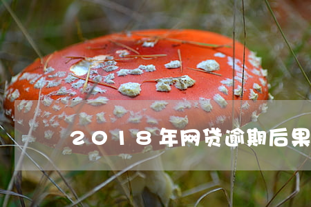 2018年网贷逾期后果(网贷即将全面逾期)