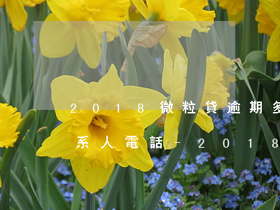 2018微粒貸逾期多久打聯(lián)系人電話-2018微粒貸逾期多久打聯(lián)系人電話了