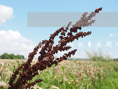 2018拍拍貸逾期四天(2018拍拍貸逾期四天)
