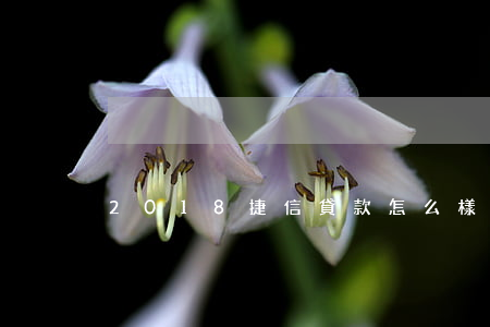 2018捷信貸款怎么樣