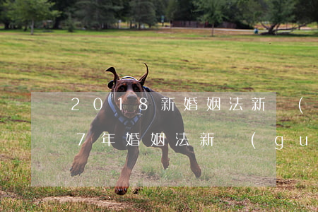 2018新婚姻法新規(guī)定(2017年婚姻法新規(guī))