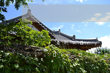 2018最新版醫(yī)療器械法律法規(guī)(醫(yī)療器械經(jīng)營(yíng)相關(guān)法律法規(guī)包括哪些)
