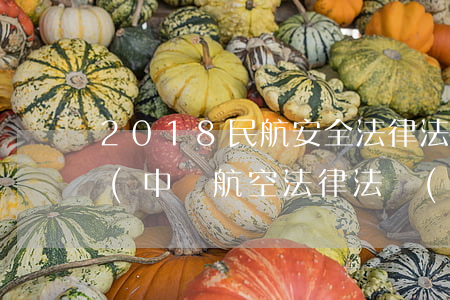 2018民航安全法律法規(guī)清單(中國航空法律法規(guī)總共有哪些)