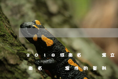 2018河南省盜竊案立案標準是多少錢(河南省盜竊案件的量刑標準)